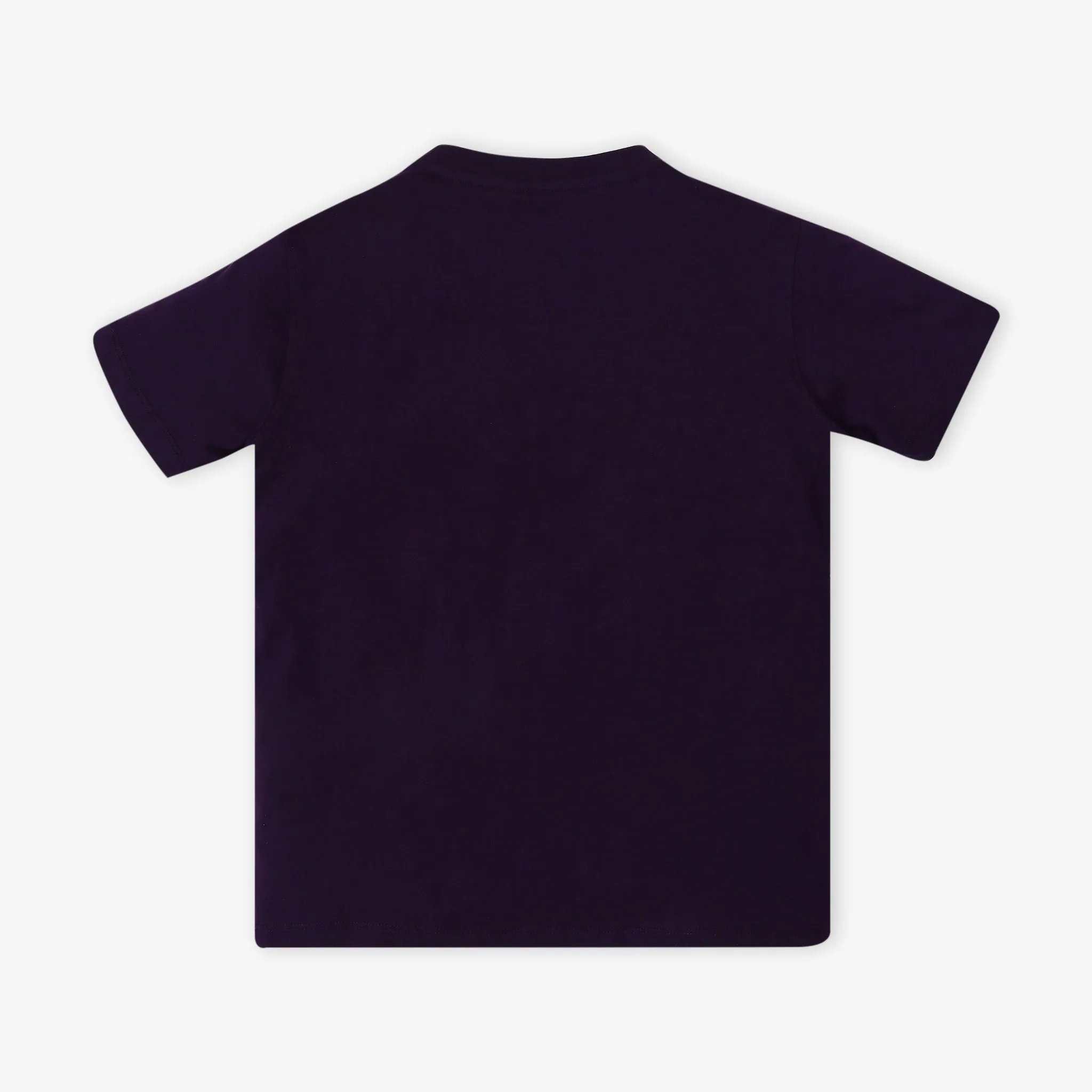 Boy's Regular Fit Graphic T-Shirt